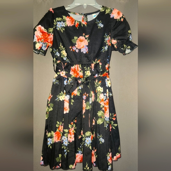 Toddler Girls Floral Print Pleated Hem Puff Sleeve Belted Dress - Picture 1 of 10